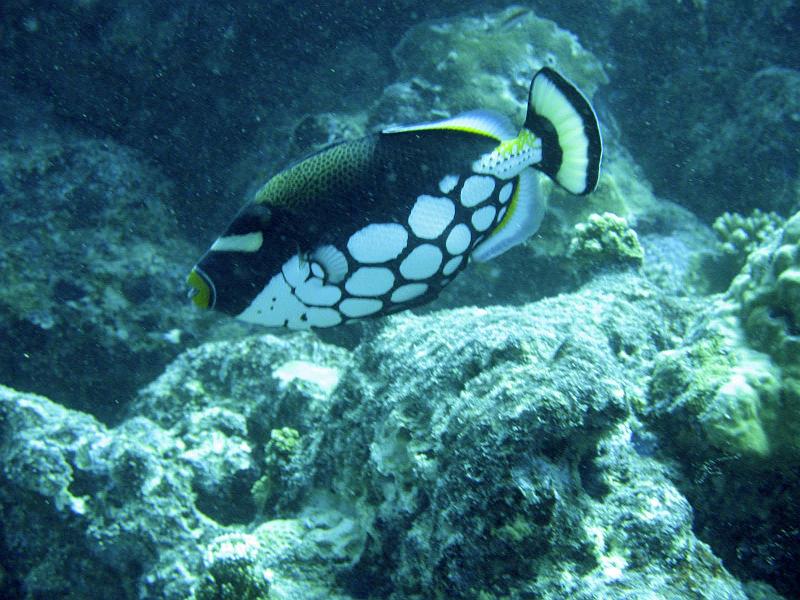 2013 02 18 Yann (76) ++_b.jpg